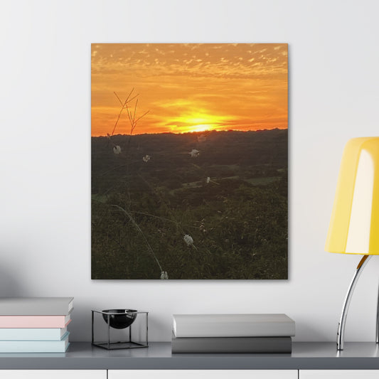 'Farm Fresh Fun' Collection - "Texas Sunrise" - Canvas Wall Art