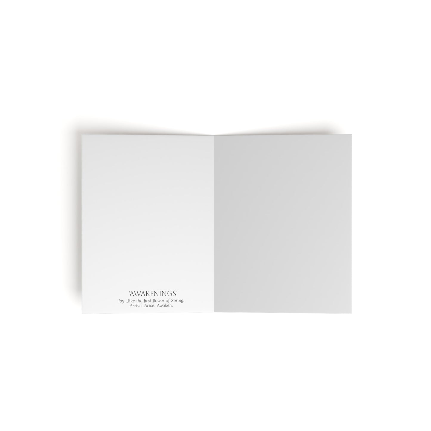 'Awakenings' Collection - Greeting cards (8, 16, and 24 pcs)